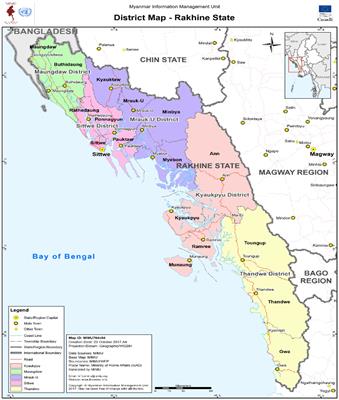 Statelessness of an ethnic minority: the case of Rohingya